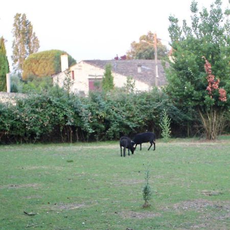 Hôtel Le Clos du Gorion à Saint-Sulpice-et-Cameyrac Extérieur photo